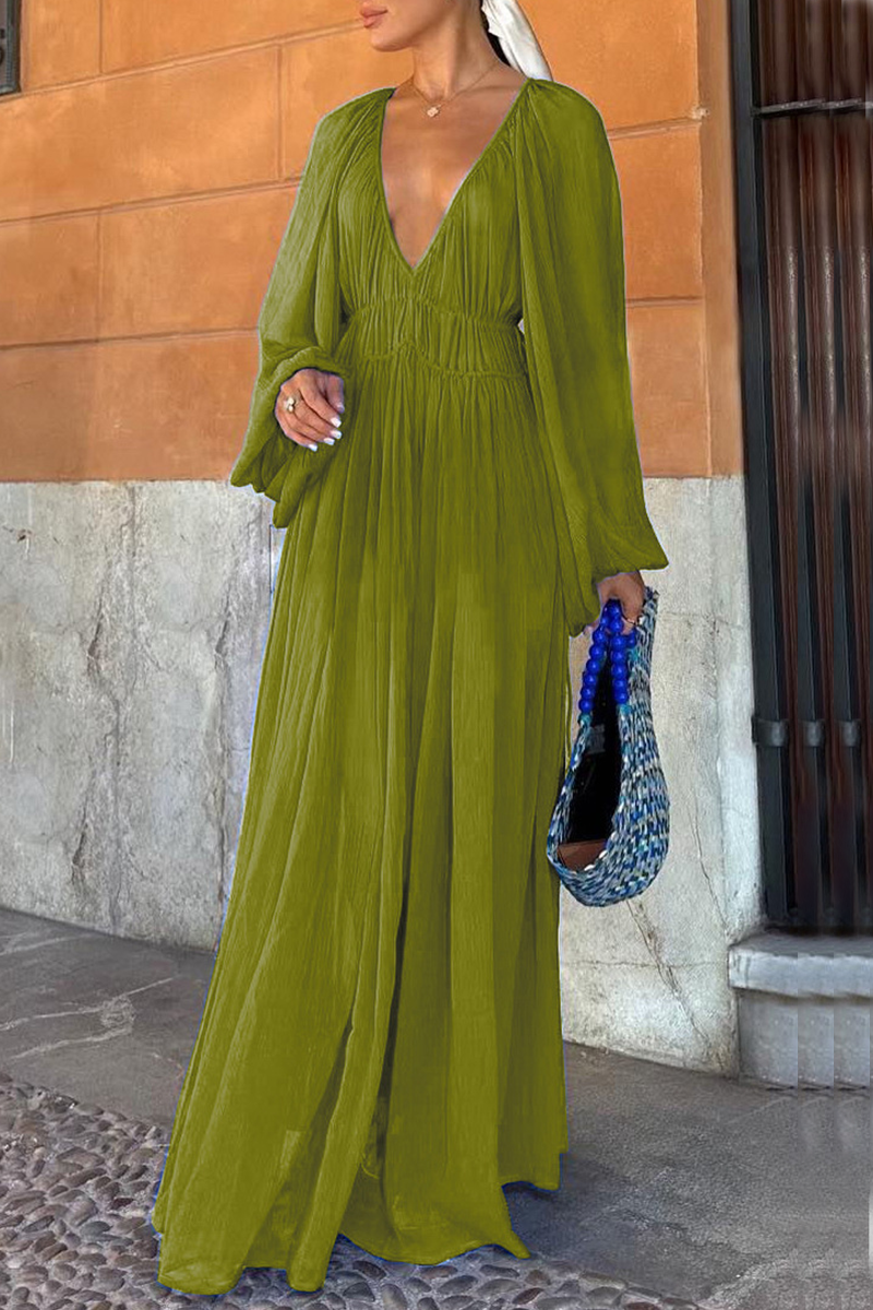 Deep V-Neck Lantern Sleeve Drawstring Waist Pleated Sheer Maxi Dress