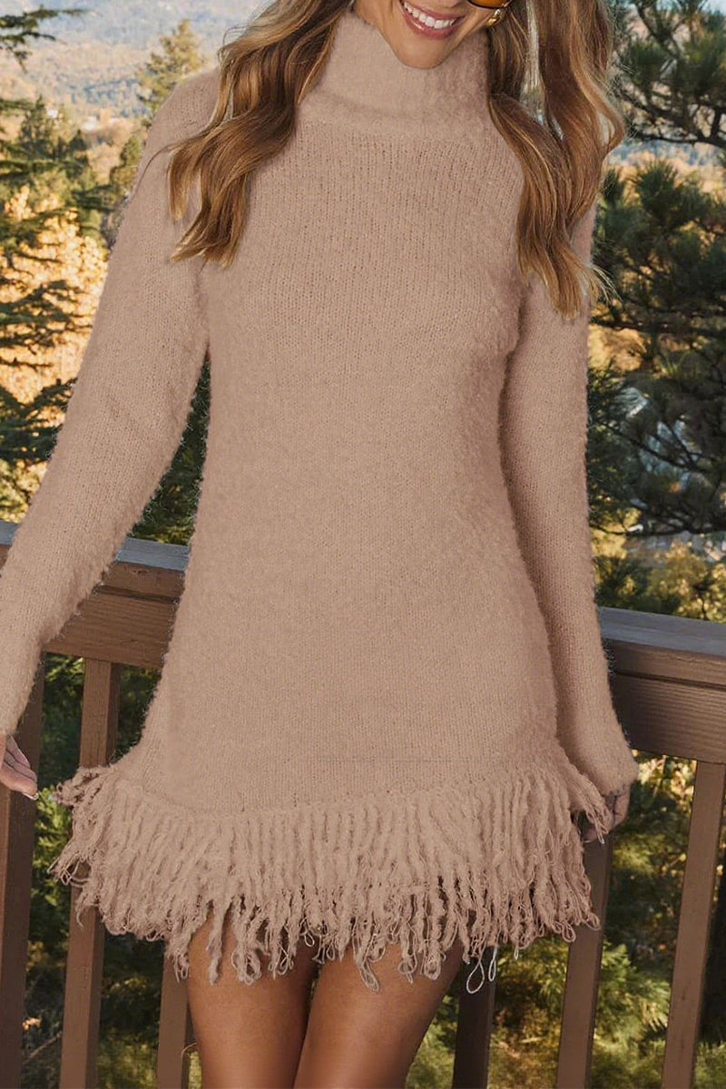 Knit Turtleneck Long Sleeve Fringe Hem Sweater Mini Dress 4
