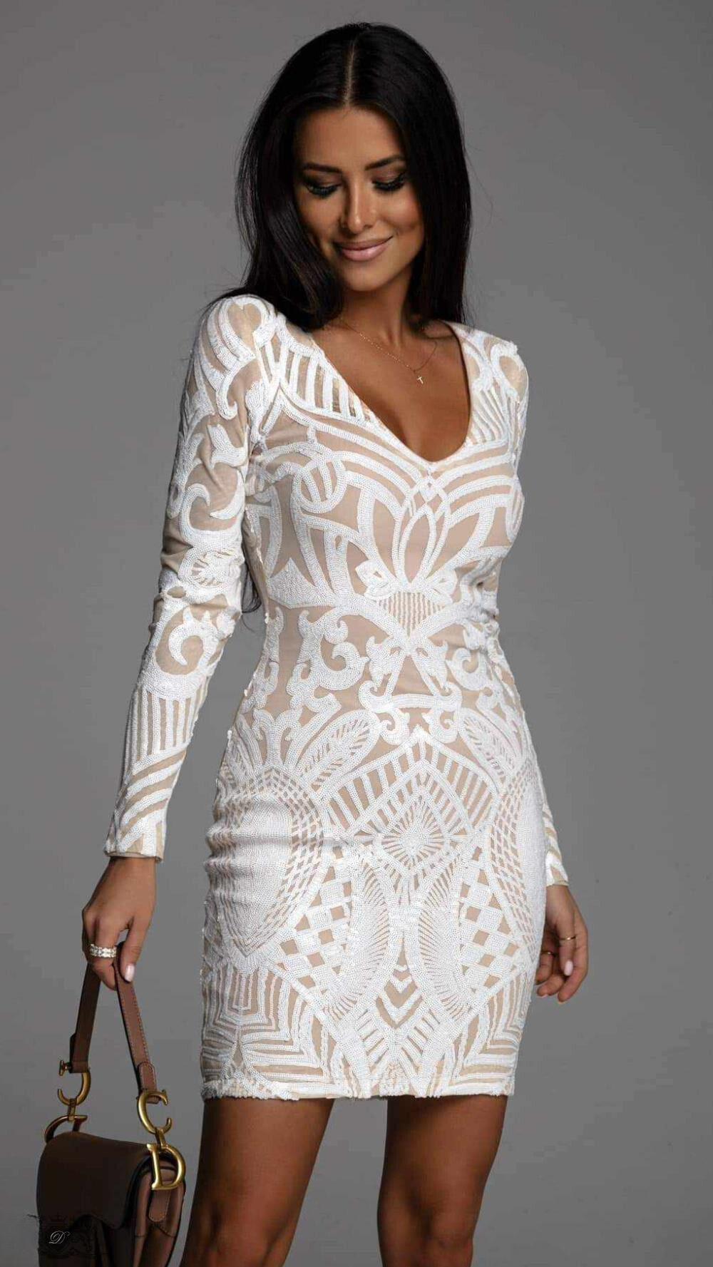 Sequin Embroidered Mesh Deep V-Neck Long Sleeve Bodycon Mini Dress
