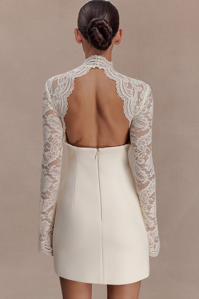 Strapless Lace Panel Sheer Backless Bodycon Lace Dress