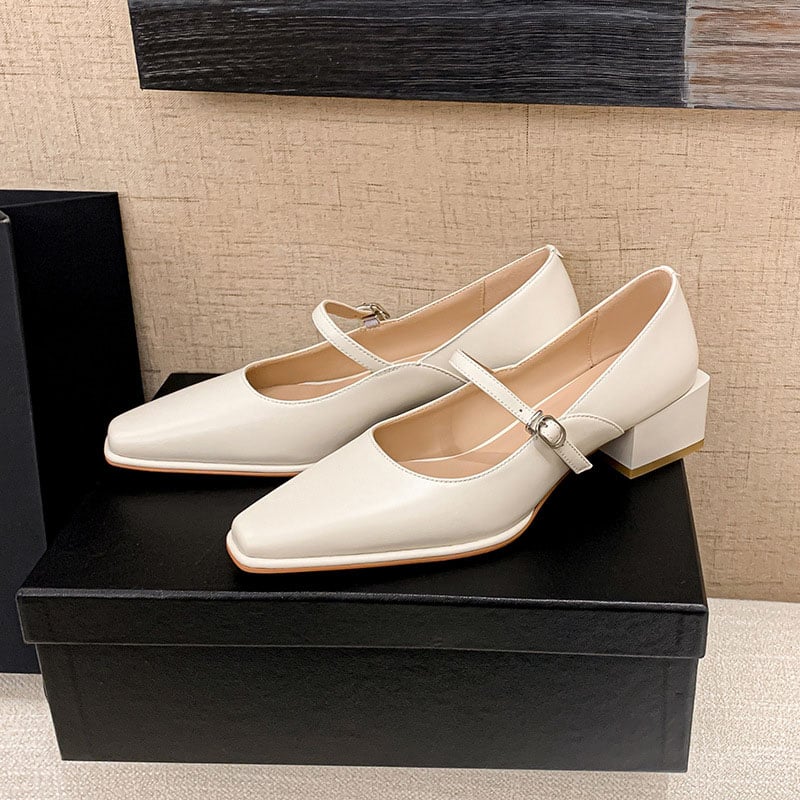 Briselda Square Toe Block Heels Mary Jane Shoes