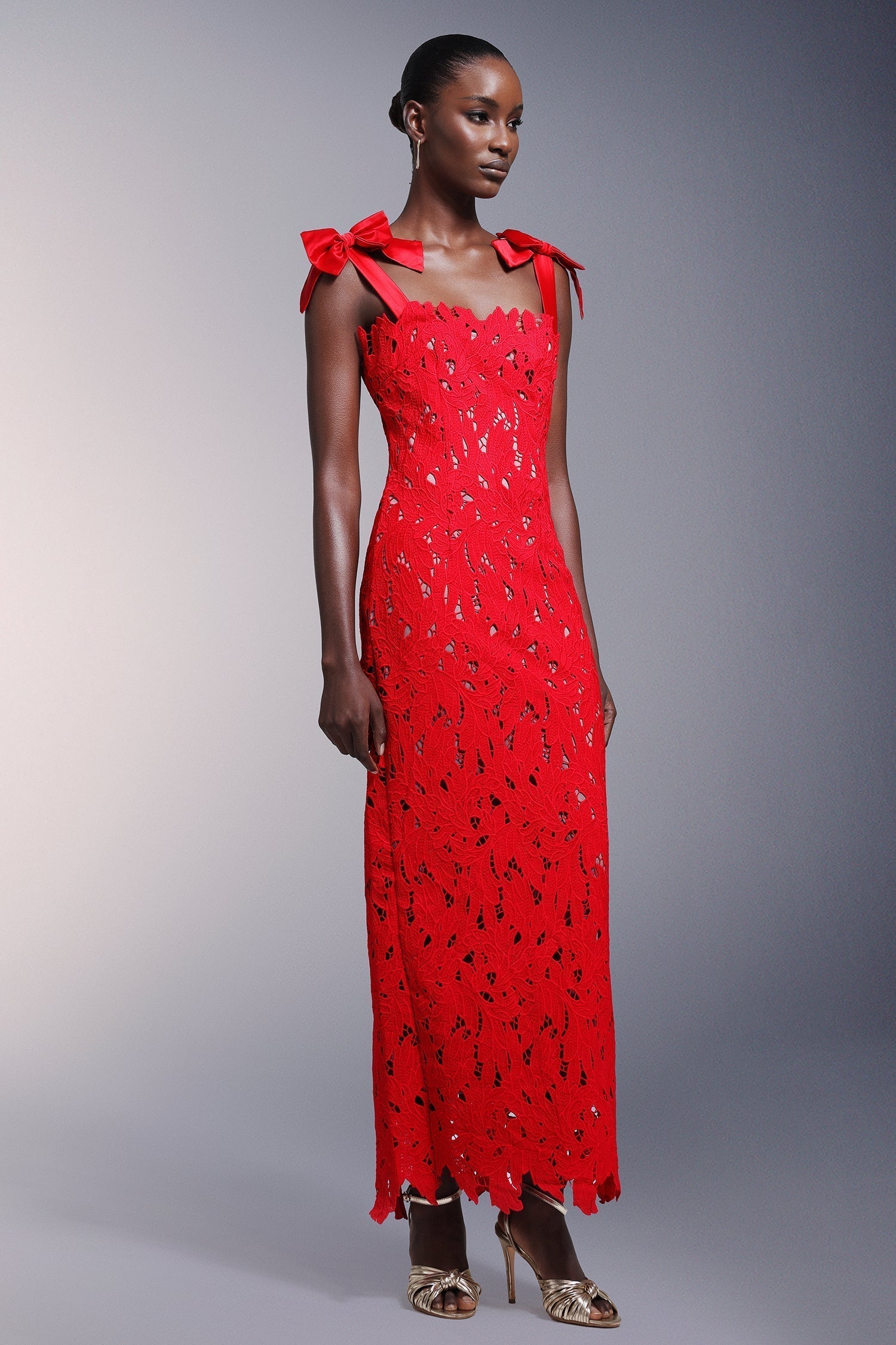 Bows Lace Sleeveless Maxi Dress - View 4