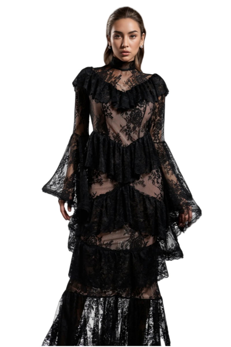 Suly Long Sleeves Flounce Lace Maxi Dress - View 4