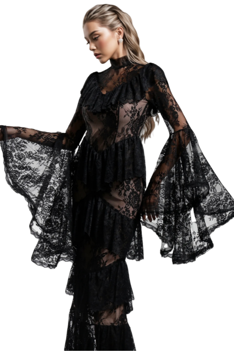 Suly Long Sleeves Flounce Lace Maxi Dress - View 5