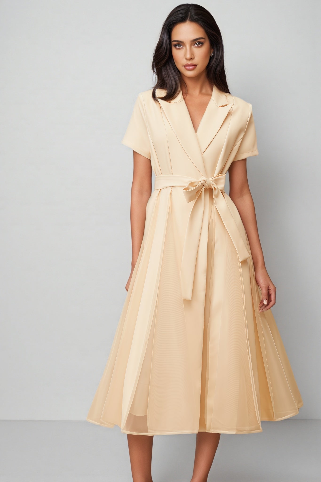Ivonne Neutral Tulle Panel Wraped Midi Dress - View 5