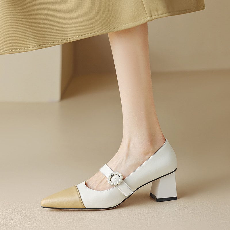 Dericka Pointy Toe Block Heels Mary Jane Shoes