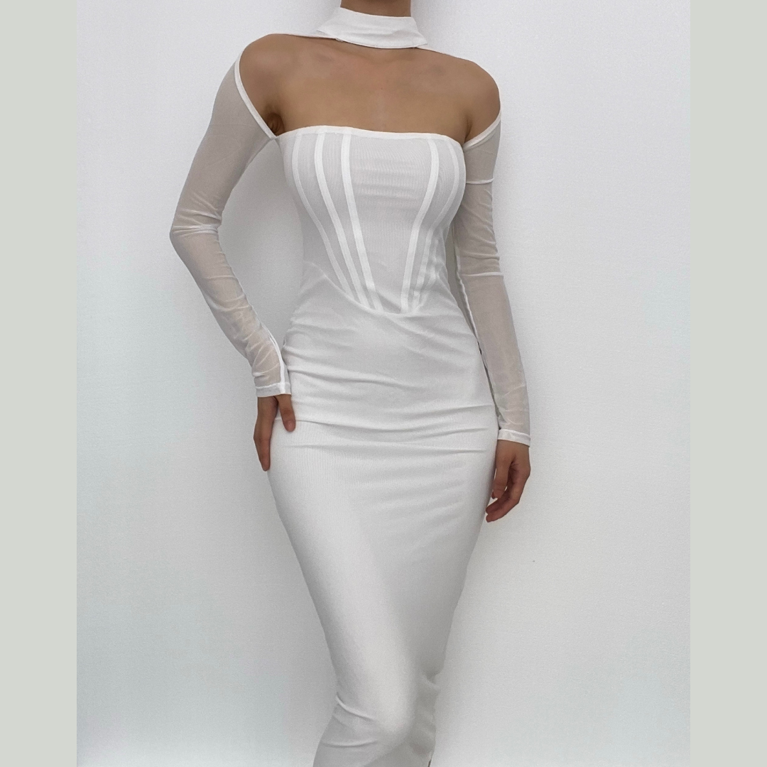 Sheer Mesh Long Sleeve Choker Strapless Bodycon Midi Dress