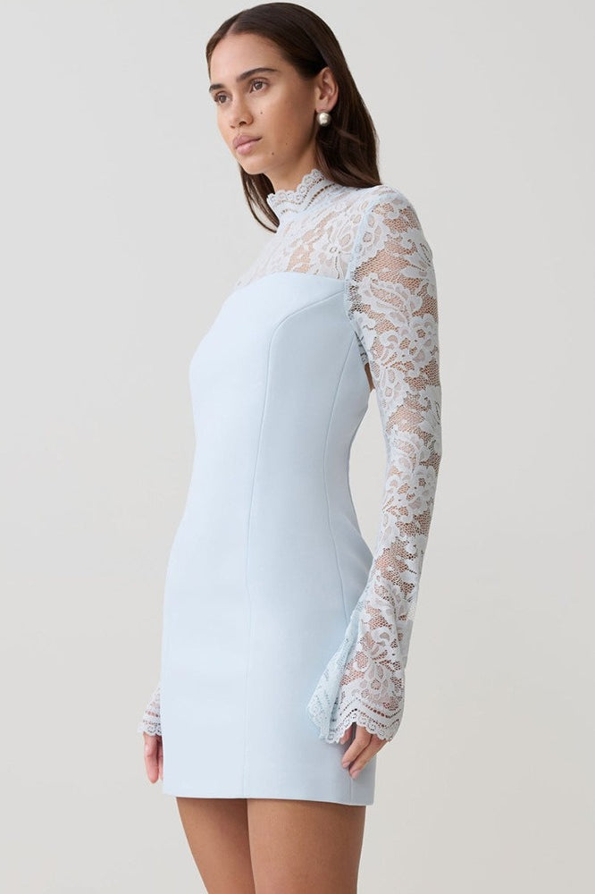 Strapless Lace Panel Sheer Backless Bodycon Lace Dress
