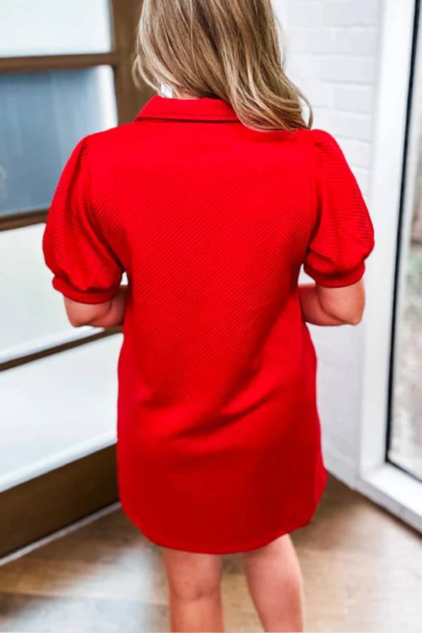 V-Neck Puff Sleeve Structured Mini Dress - View 3