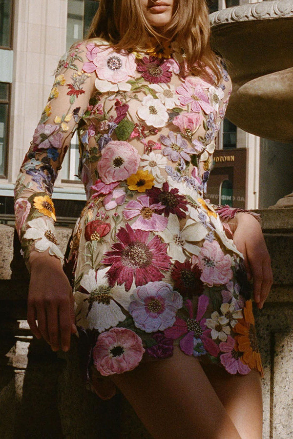 Floral Applique Long Sleeve Sheer Bodycon Mini Dress