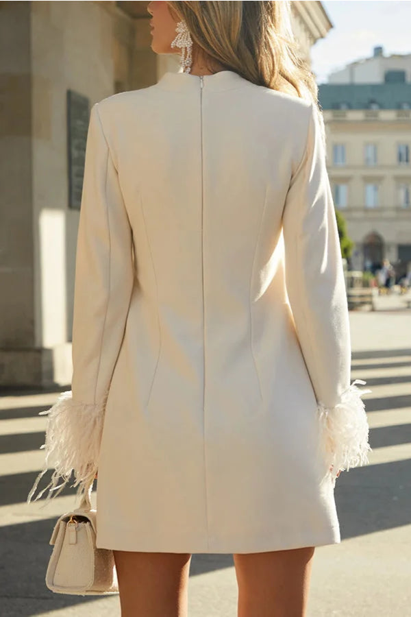 Mock Neck Long Sleeve Feather Trim Shift Mini Dress