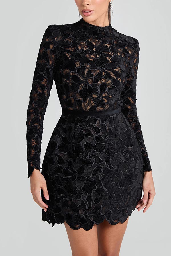 Floral Lace High Neck Long Sleeve Belted Mini Dress