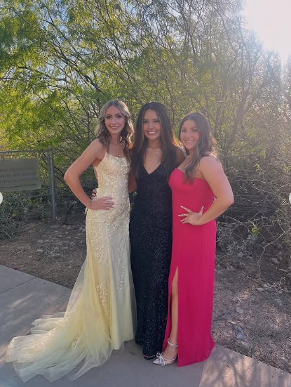 Sexy Yellow Lace/Tulle Long Prom Dresses,Evening Dresses,Winter Formal Dresses cc1372