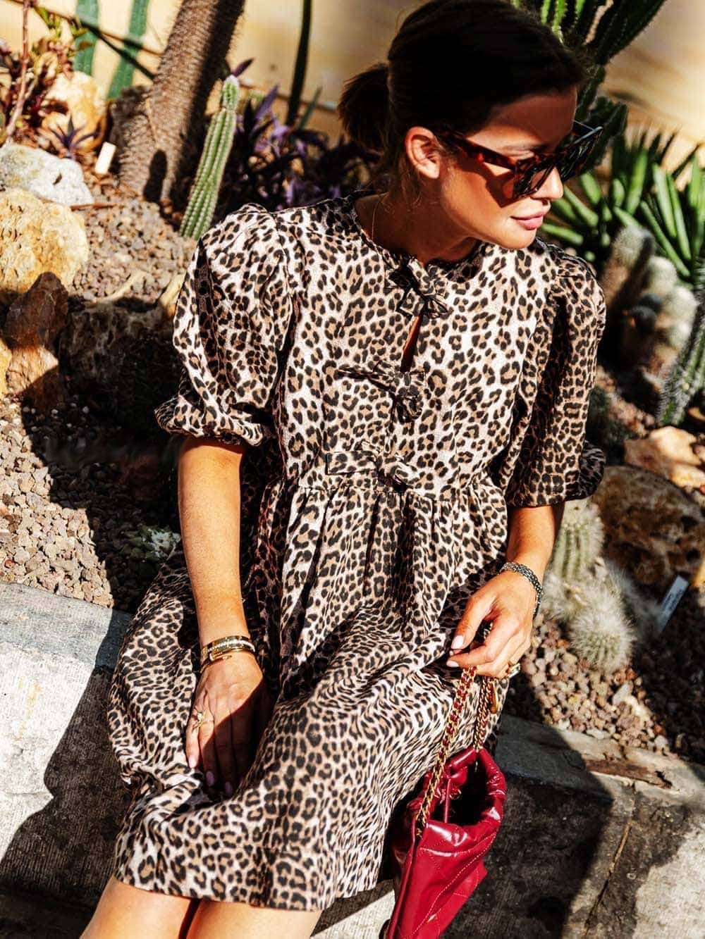 Alessandra Timeless Leopard Dress Everyday Luxe Edit