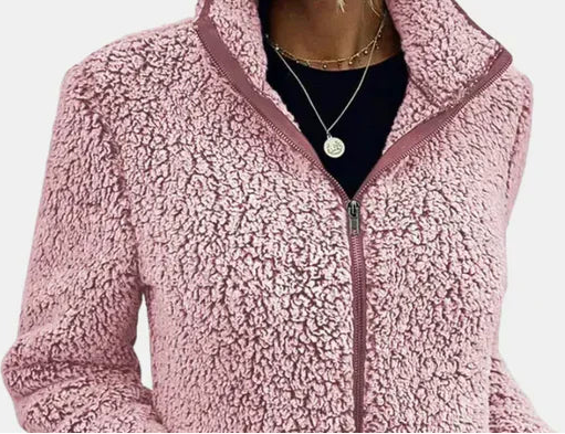 Zip Front Stand Collar Teddy Fleece Jacket
