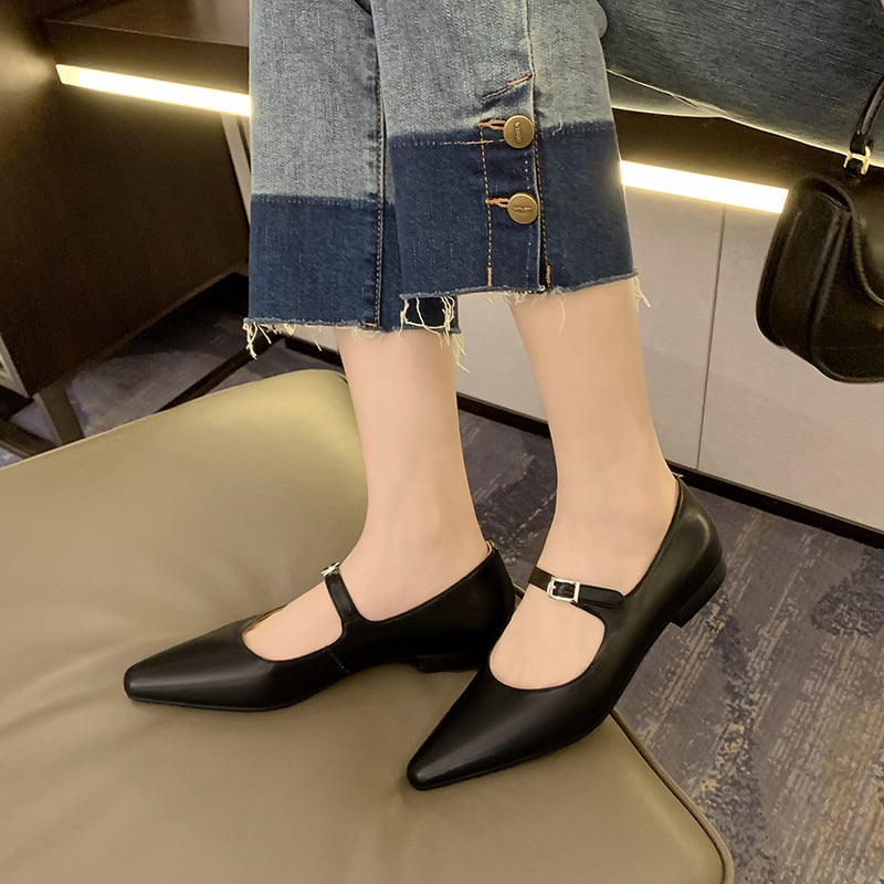 Shaleen Pointy Toe Block Heels Mary Jane Flats