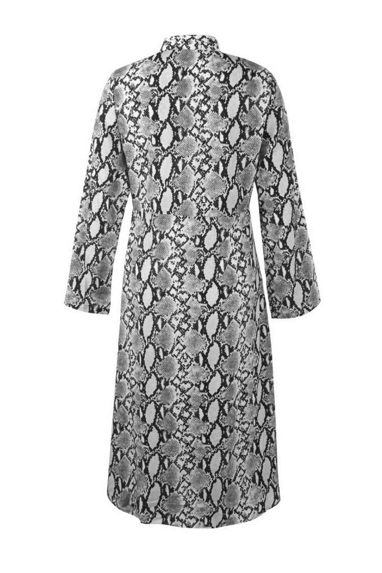 Long Sleeved Leopard Maxi Dress