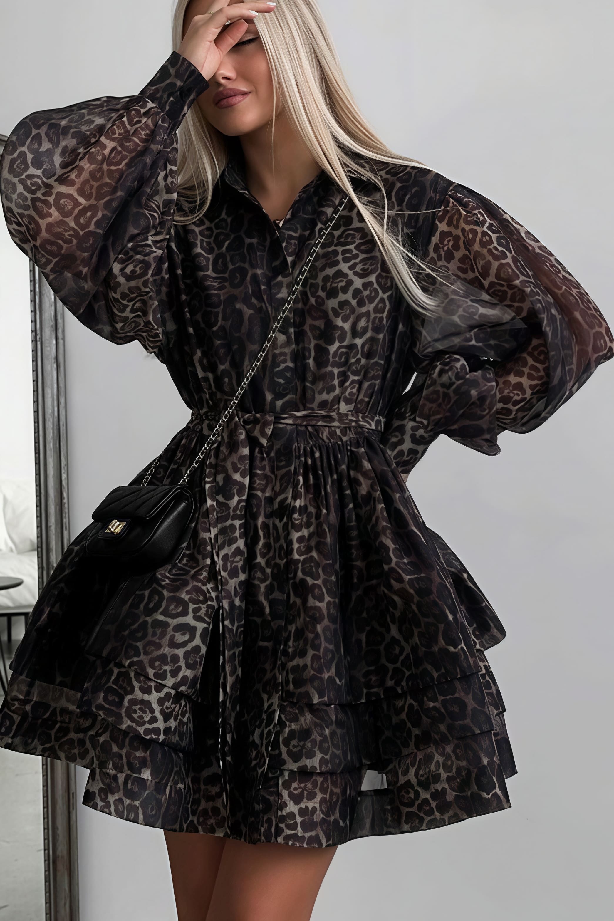 Chiffon Leopard Print Long Sleeve Mini Dress - View 3