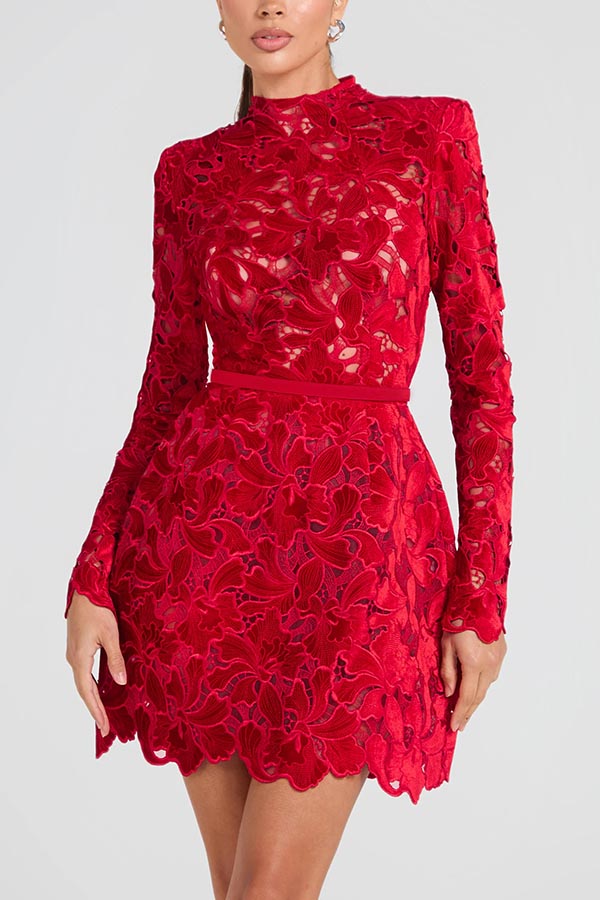 Floral Lace High Neck Long Sleeve Belted Mini Dress