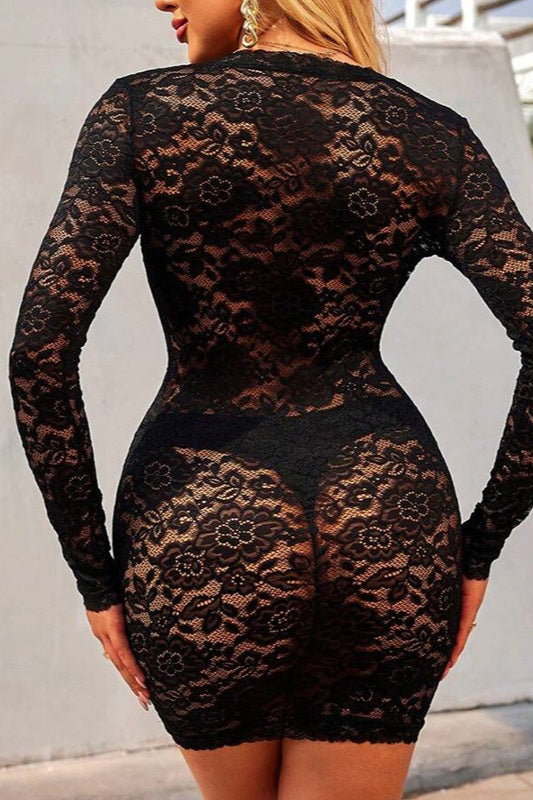 Lace Trim Sheer Long Sleeve Fit Mini Lace Dress