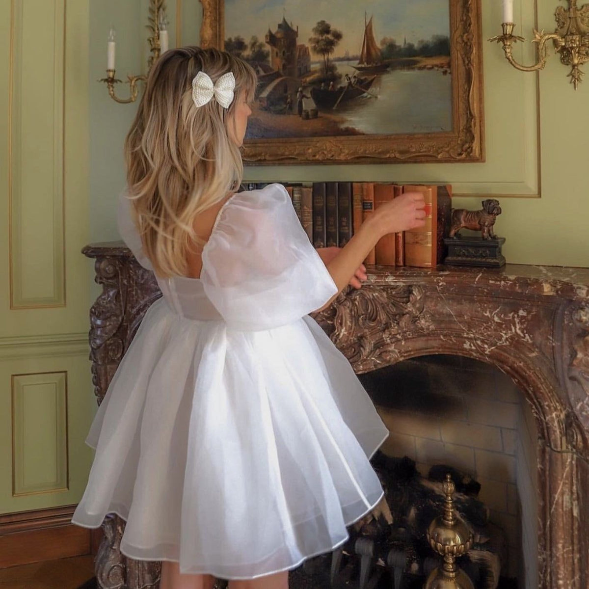 Organza Puff Sleeve Open Back Fit and Flare Puffy Mini Dress