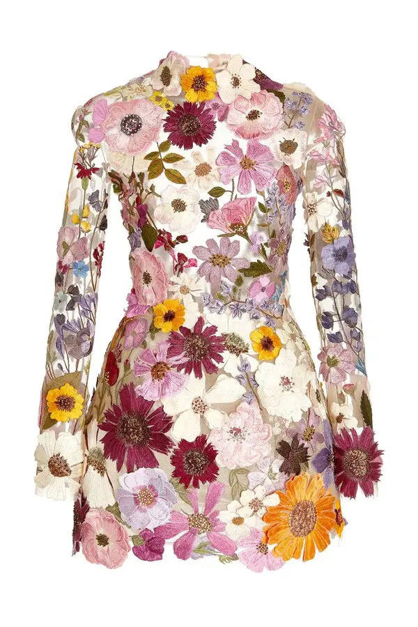Floral Applique Long Sleeve Sheer Bodycon Mini Dress