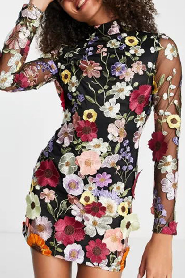 Floral Applique Long Sleeve Sheer Bodycon Mini Dress