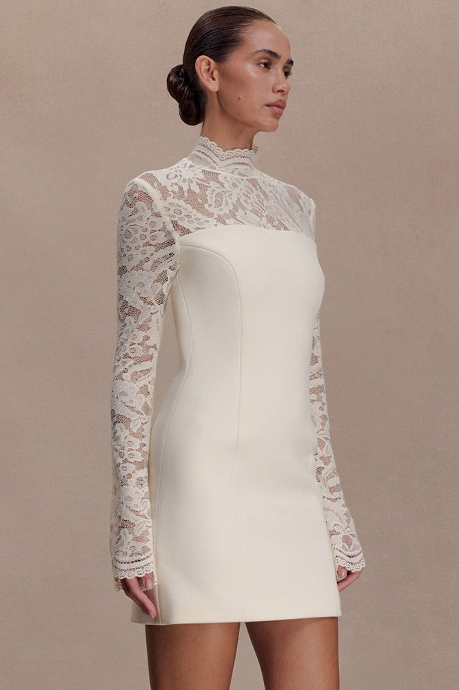 Strapless Lace Panel Sheer Backless Bodycon Lace Dress