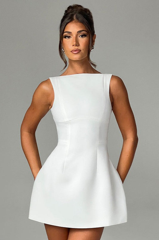 Fitted Sleeveless ALine Work Dress