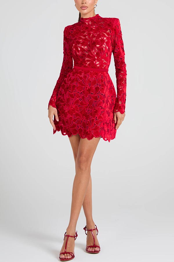 Floral Lace High Neck Long Sleeve Belted Mini Dress