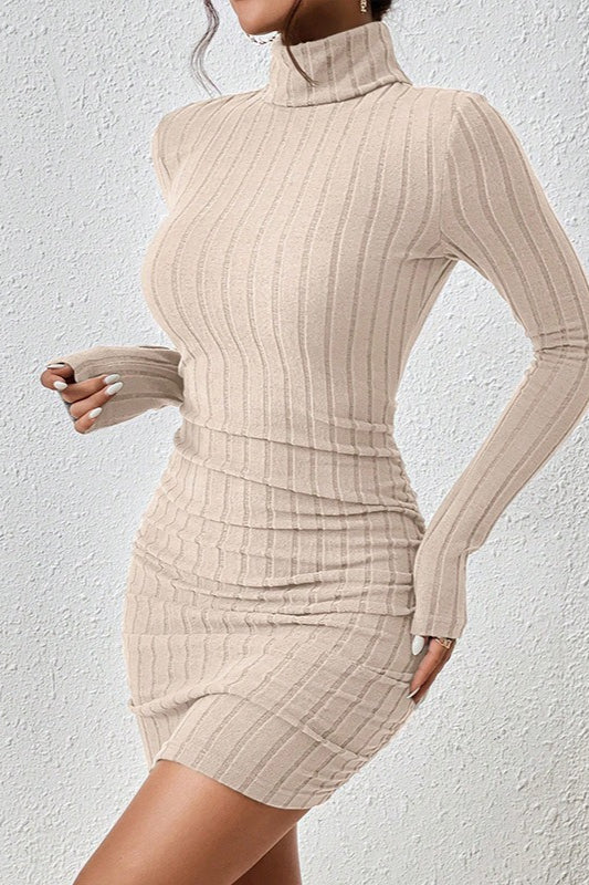 High Neck Slim Fit Knit Sweater Dress