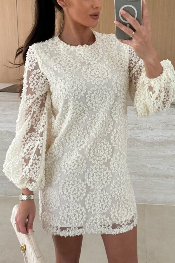 Textured Floral Lace Round Neck Sheer Balloon Sleeve Shift Mini Dress 4