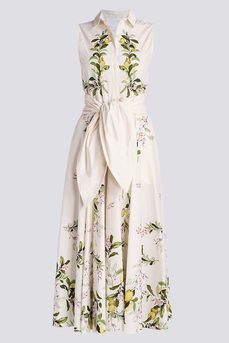 Floral Print Sleeveless Collared Tie Waist Maxi Dress