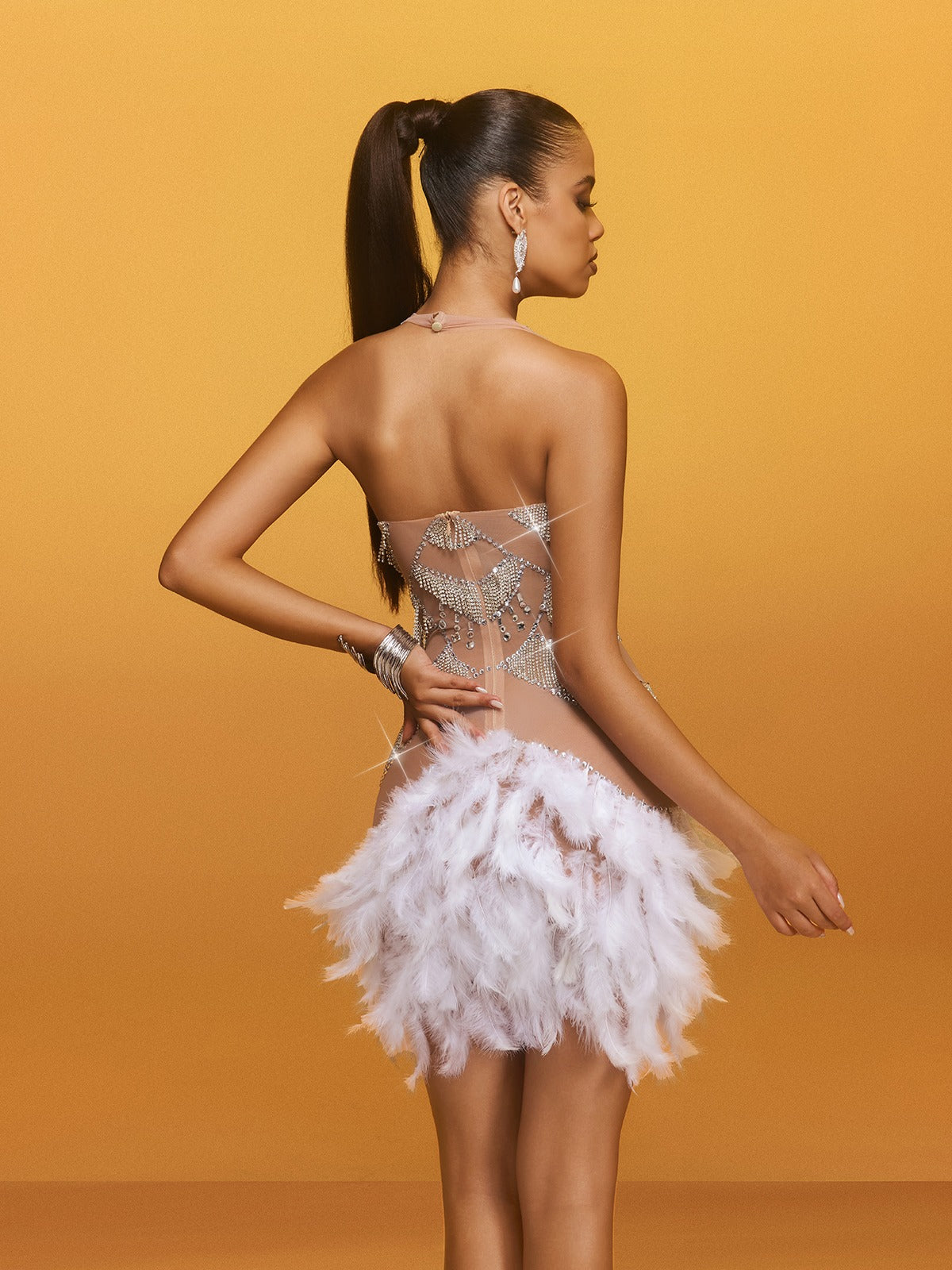 Halter Neck Rhinestone Fringe Feather Trim Mini Dress