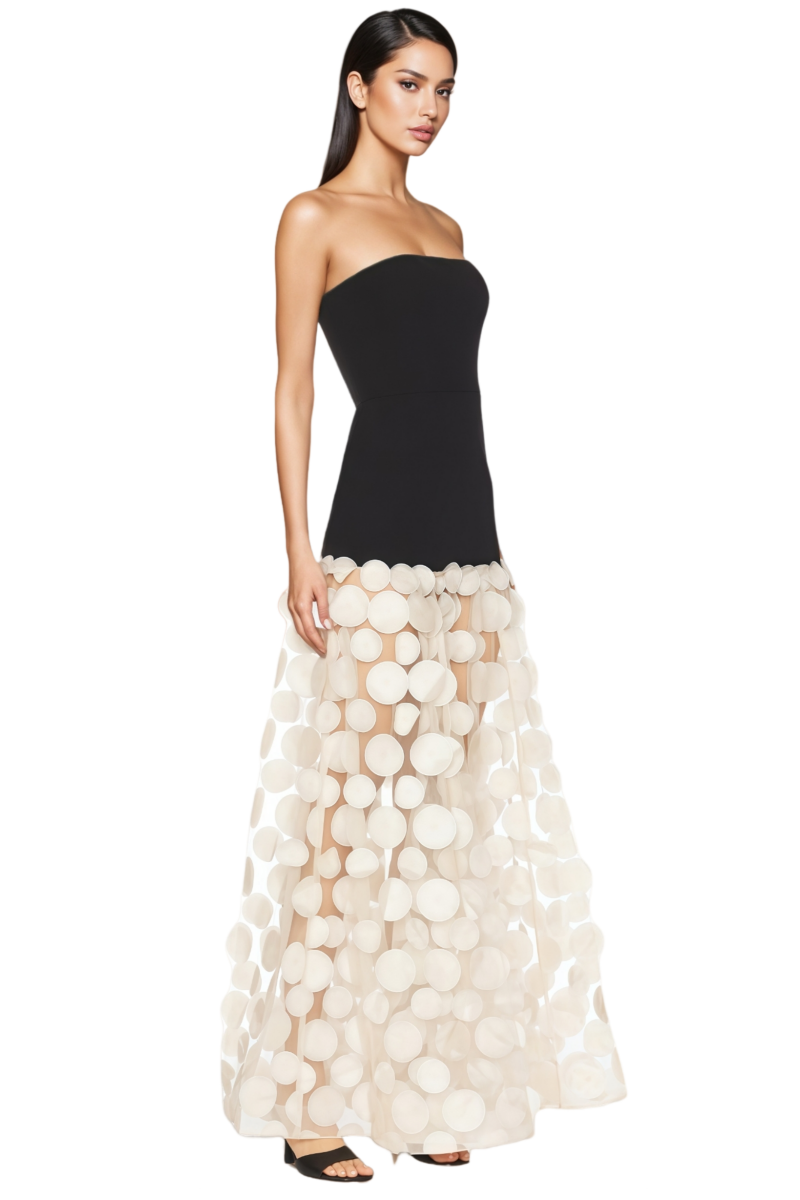Hrinna Beige Polka Dot Mesh Maxi Dress - View 2