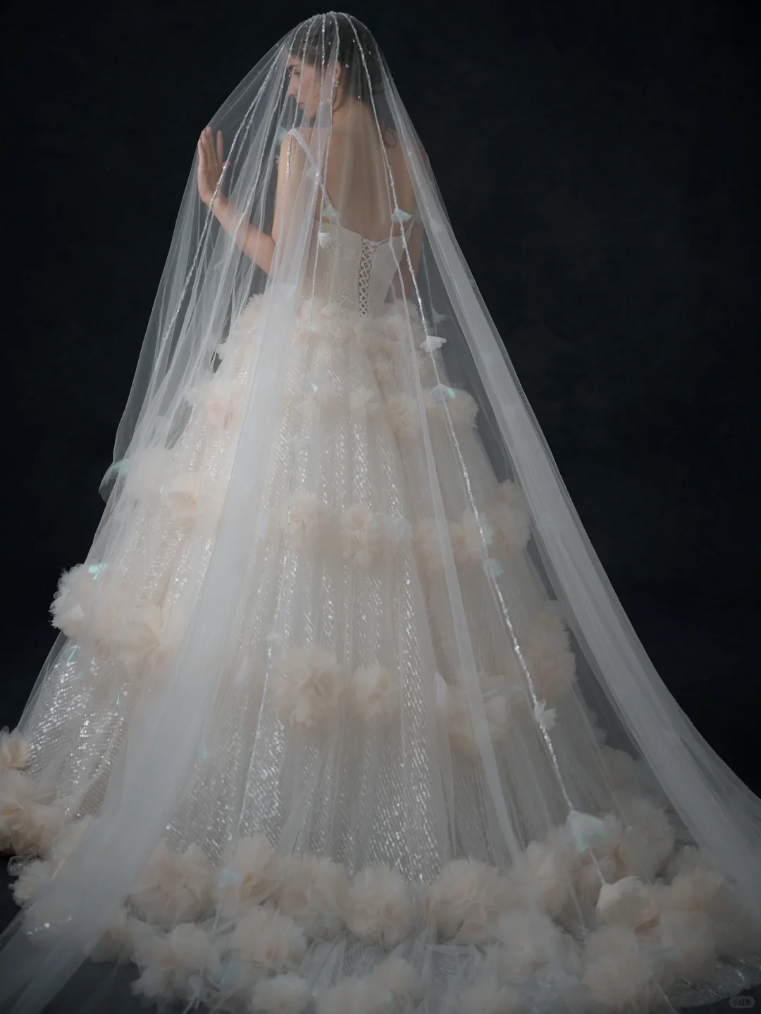 Princess Ball Gown Spaghetti Straps Champagne Tulle Sequin Long Wedding Dresses C3966
