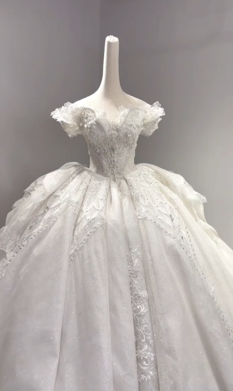 Timeless Ball Gown Off The Shoulder Tulle Lace Beaded Long Wedding Dresses C3989