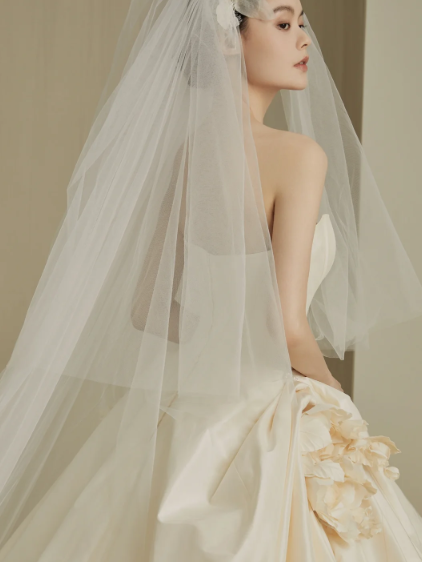 Dreamy Ball Gown Strapless Satin With Veil Long Wedding Dresses C4201
