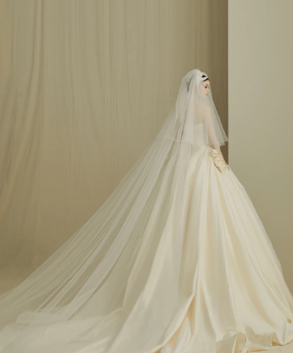 Dreamy Ball Gown Strapless Satin With Veil Long Wedding Dresses C4201