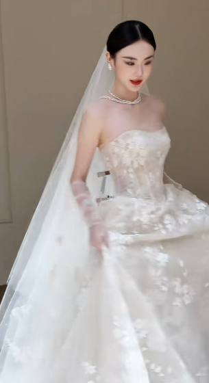 Dreamy Ball Gown Strapless Tulle Lace With Veil Long Wedding Dresses C4334