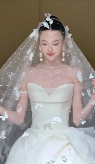 Stunning Ball Gown Sweetheart Chiffon With Veil Long Wedding Dresses C4349