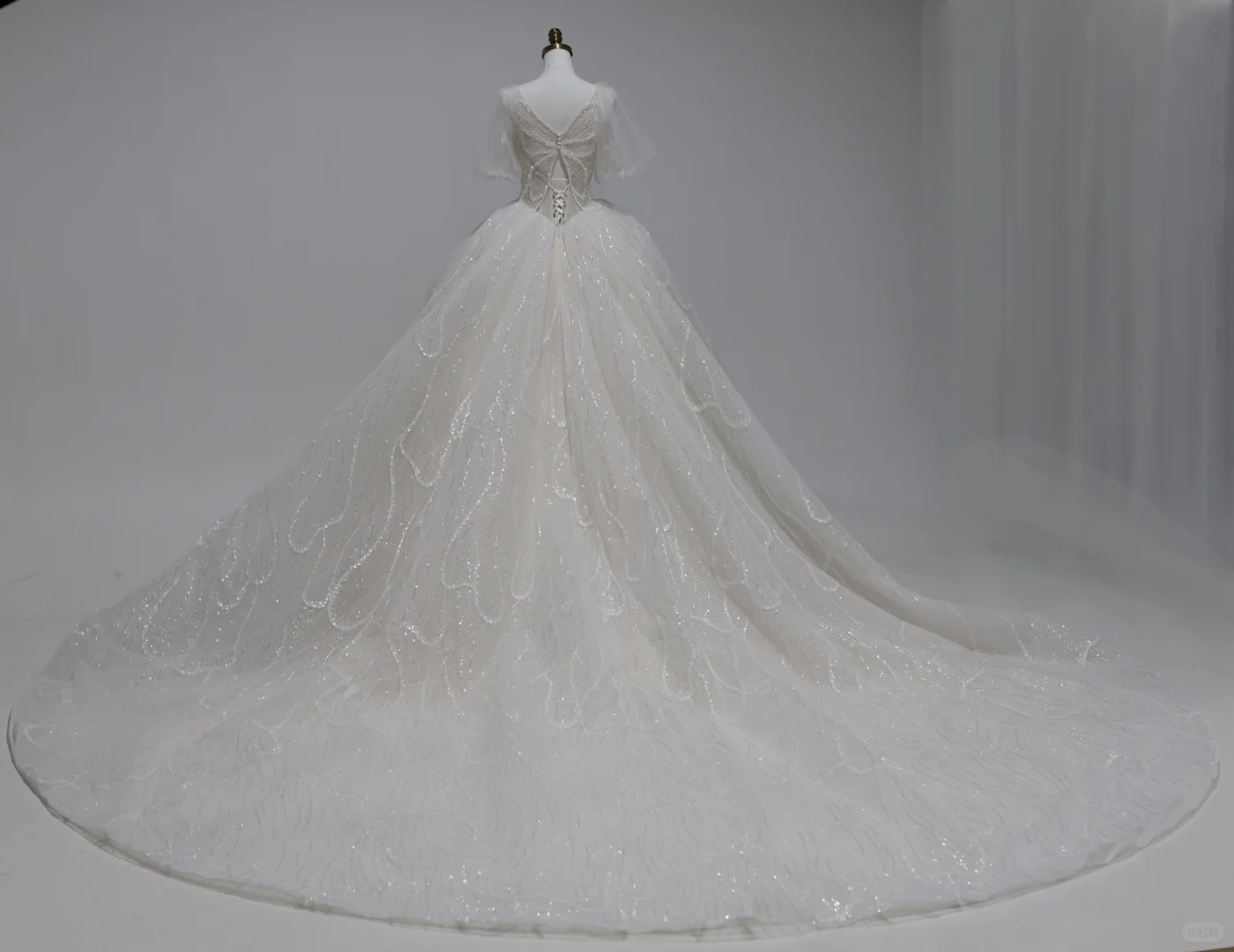 Classy Ball Gown V Neck Tulle Sequin Short Sleeves Long Wedding Dresses C4391