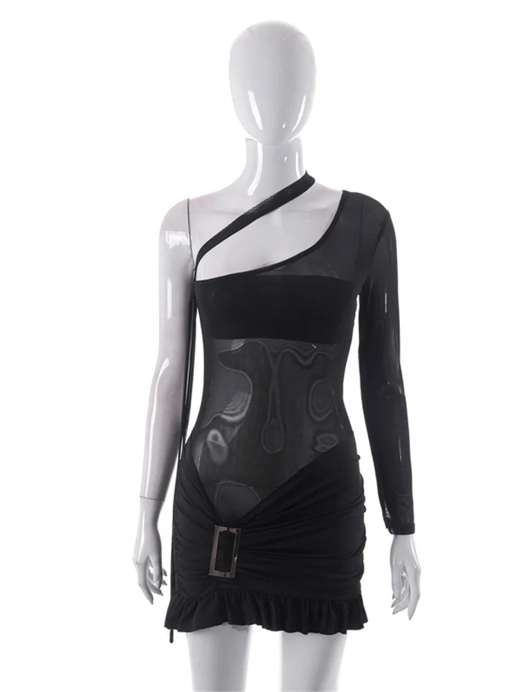 Sheer See Through Long Sleeve Mini Dresses 3