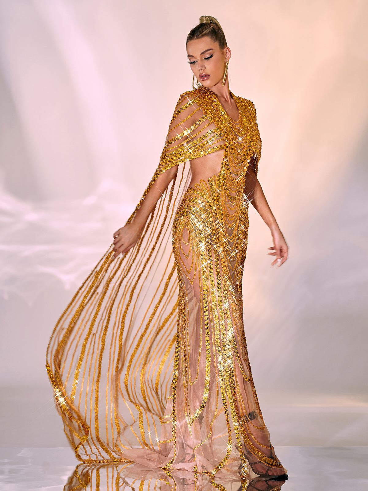 Chana Sequin Crystal Mesh Maxi Dress 2