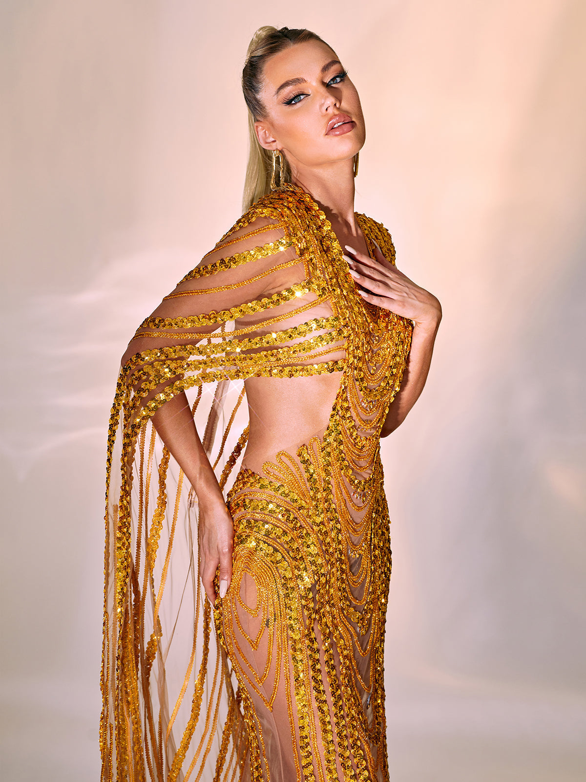 Chana Sequin Crystal Mesh Maxi Dress 4