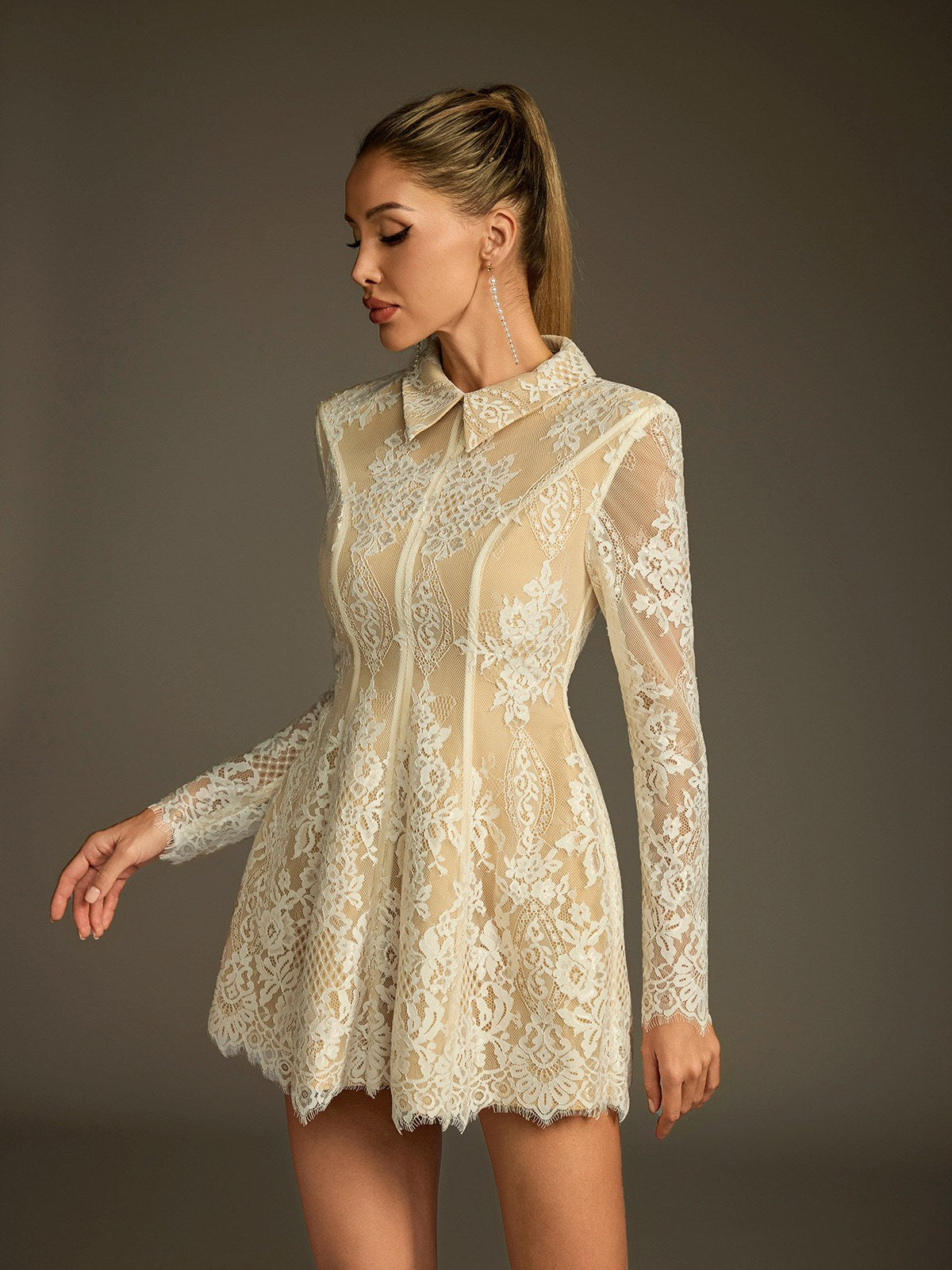 Floral Lace Collared Long Sleeve A-Line Mini Dress