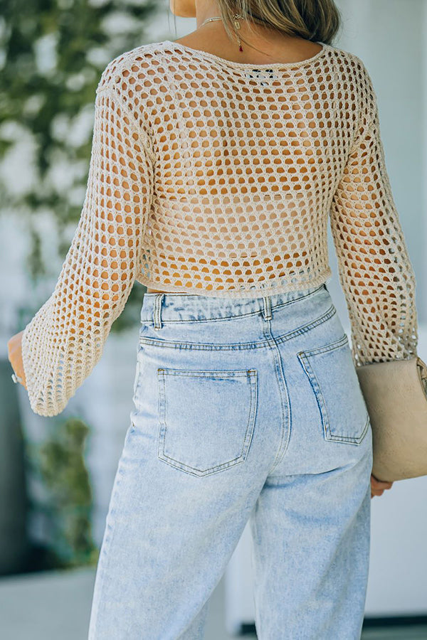 Sheer Logn Sleeve Crochet Crop Top
