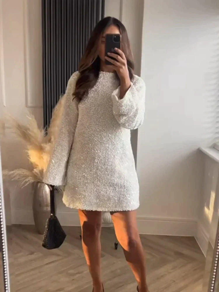Sequin Crew Neck Long Sleeve Shift Mini Party Dress
