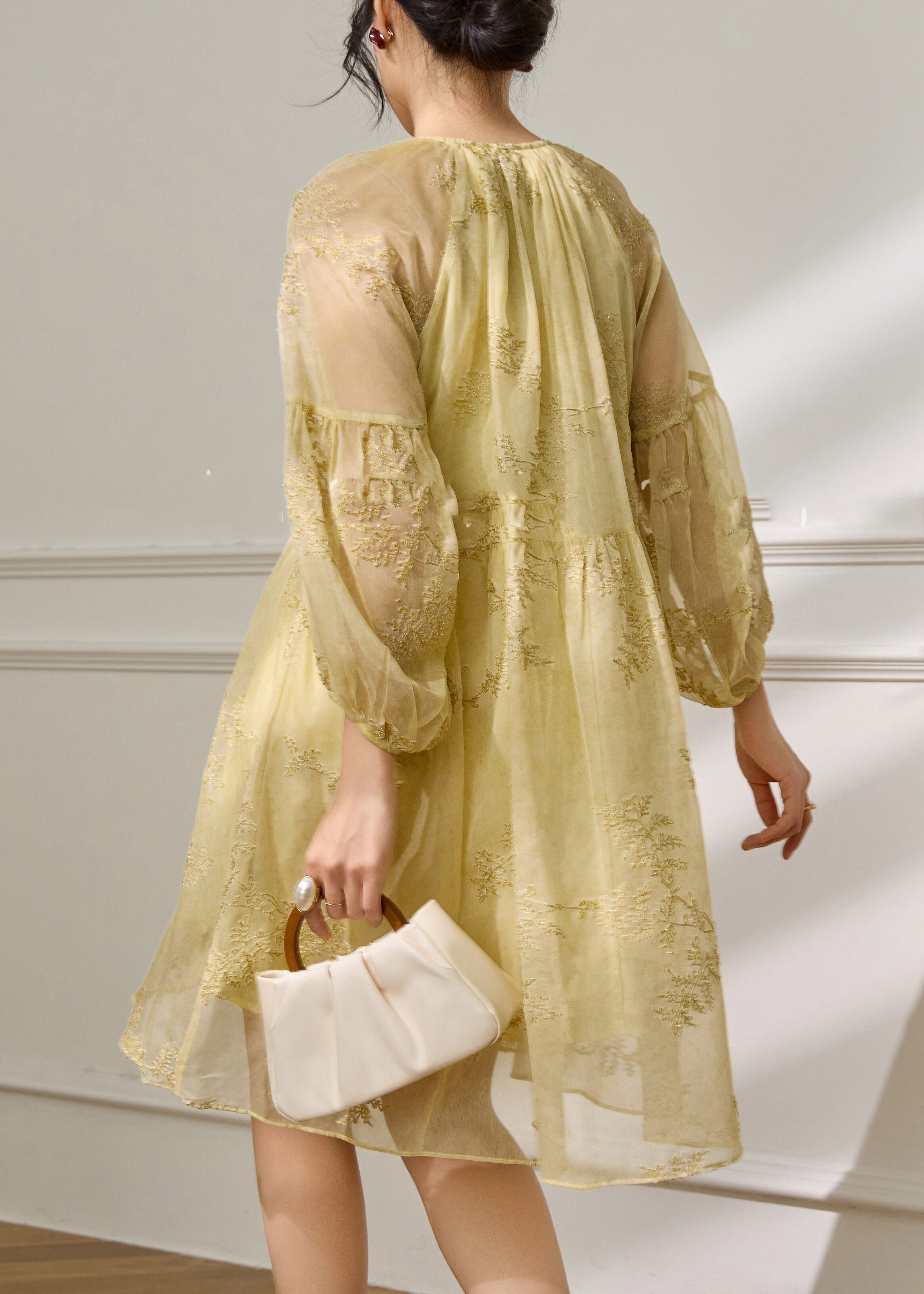 Floral Embroidered Lace Trim Tie Neck Puff Sleeve Chiffon Mini Dress