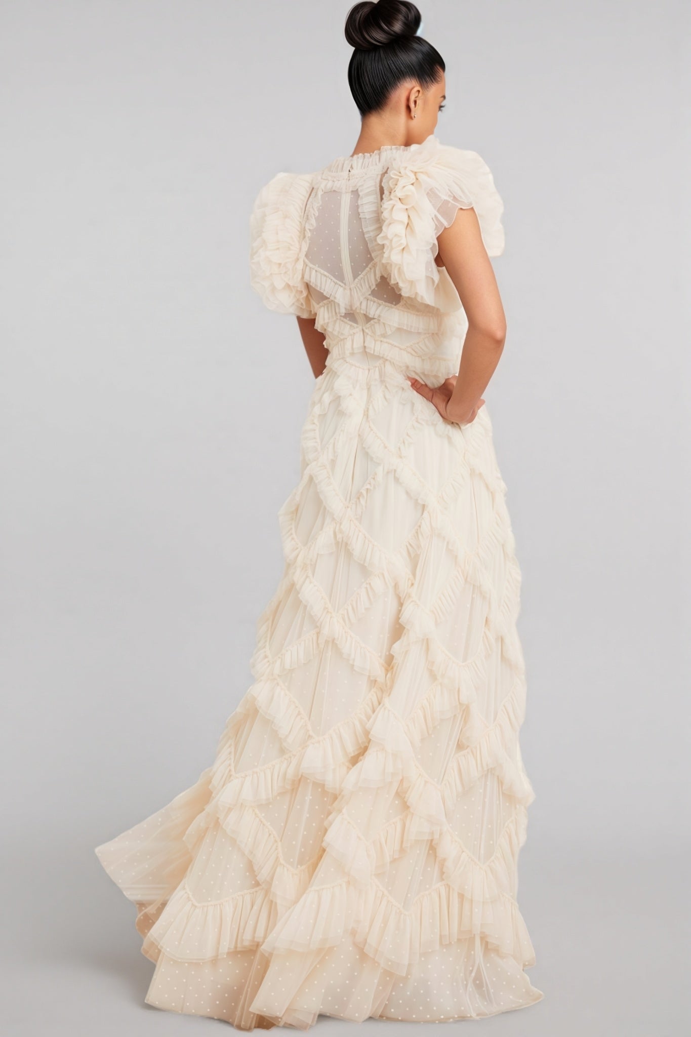 Miro Ruffle Mesh Maxi Dress - View 5